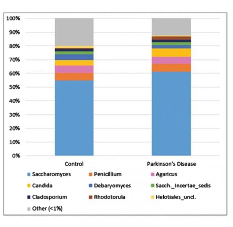 This shows a bar graph from the study