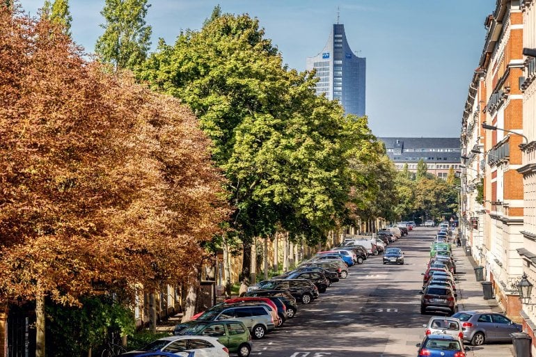 This shows a street lined with trees