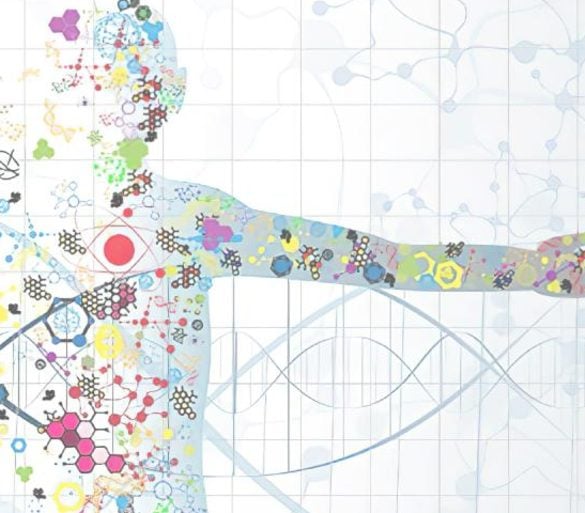 This shows a body made up of chemical elements