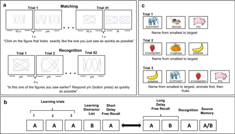 This shows images from the memory test used in this study