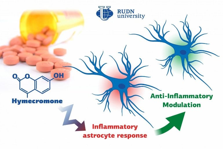 This shows pills and neurons