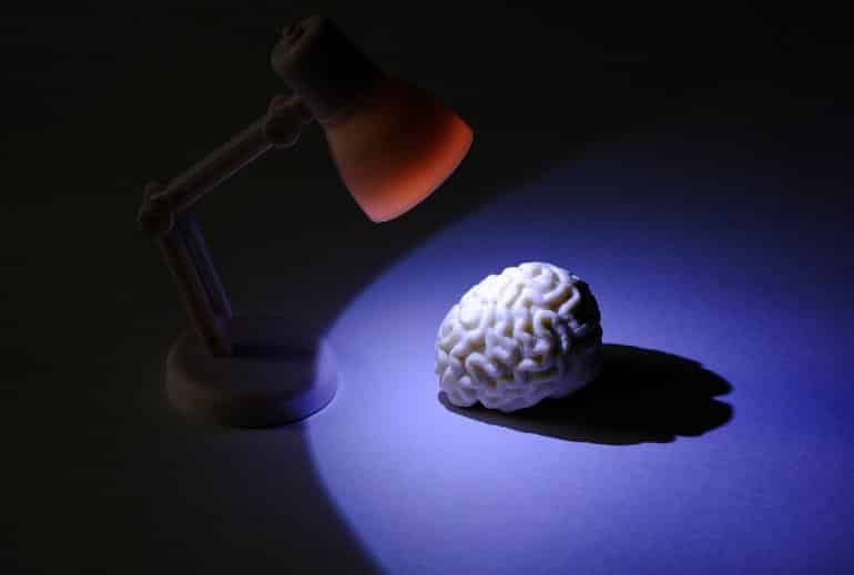 This shows a brain model under a desk lamp