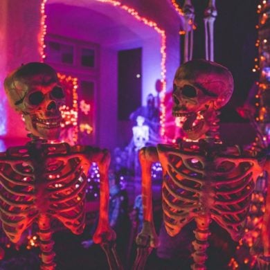 This shows models of halloween skeletons lit up with neon lights