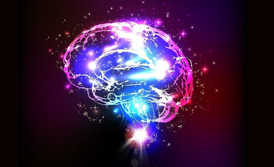 This shows a purple brain