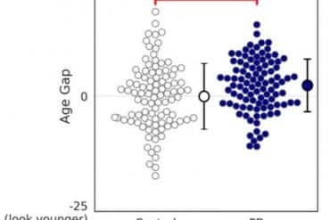 This is a graph from the study