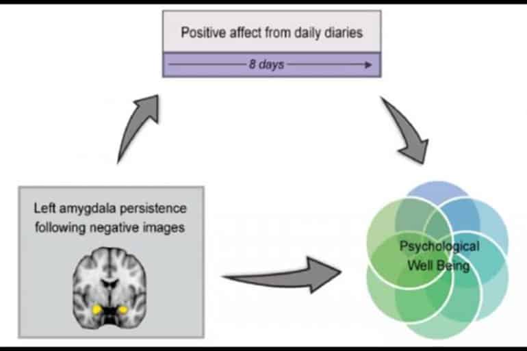 This is a diagram from the study