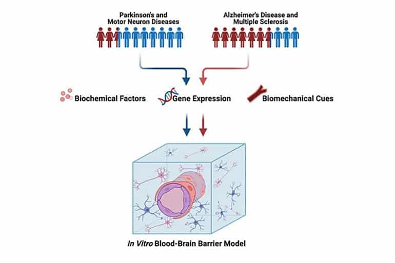 This is a diagram from the study