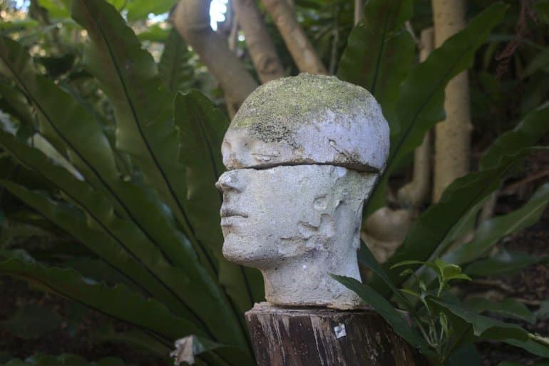 This shows a broken statue of a head