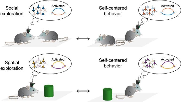 This is a schematic from the study