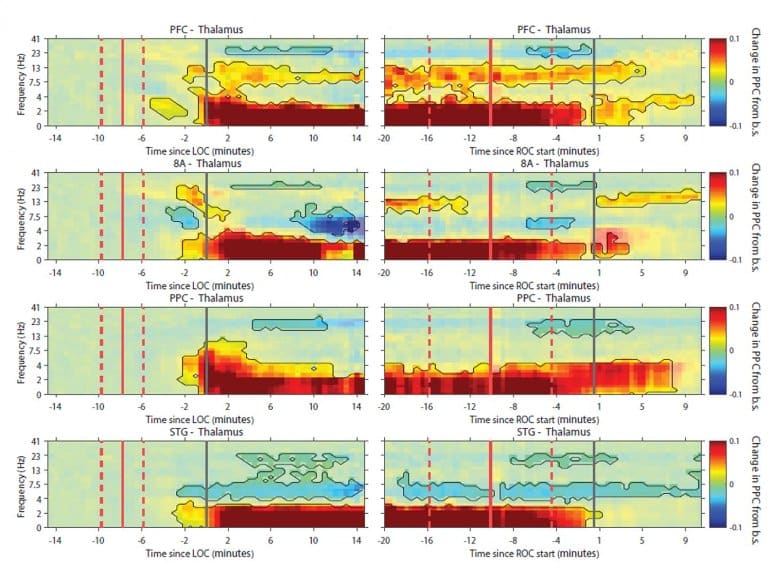 This shows graph data from the study