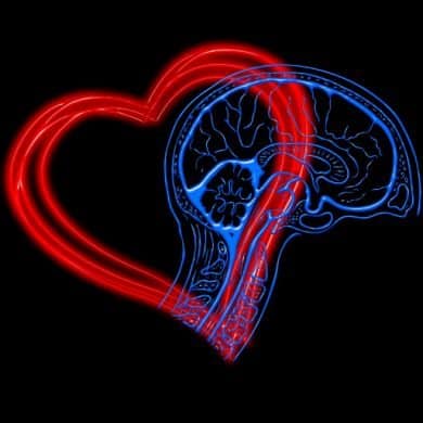 This shows a heart and a brain