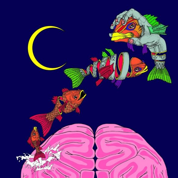 This is a cartoon of a brain and fish leaping over it