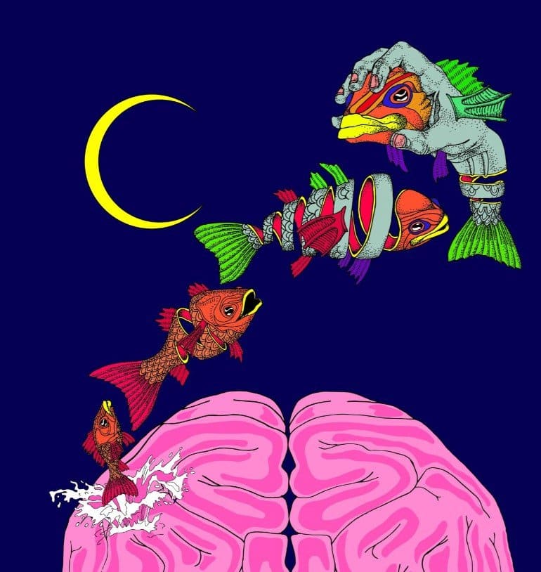 This is a cartoon of a brain and fish leaping over it