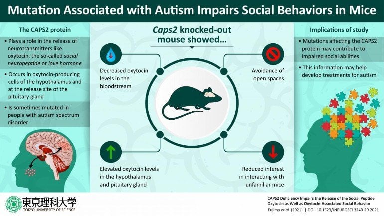 This is a diagram from the study