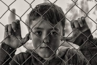 This shows a little boy looking through a fence
