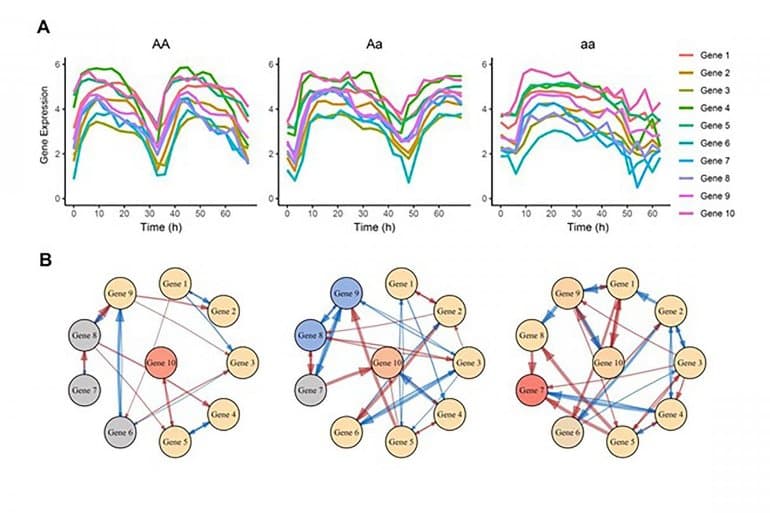 This shows different networks drawn out