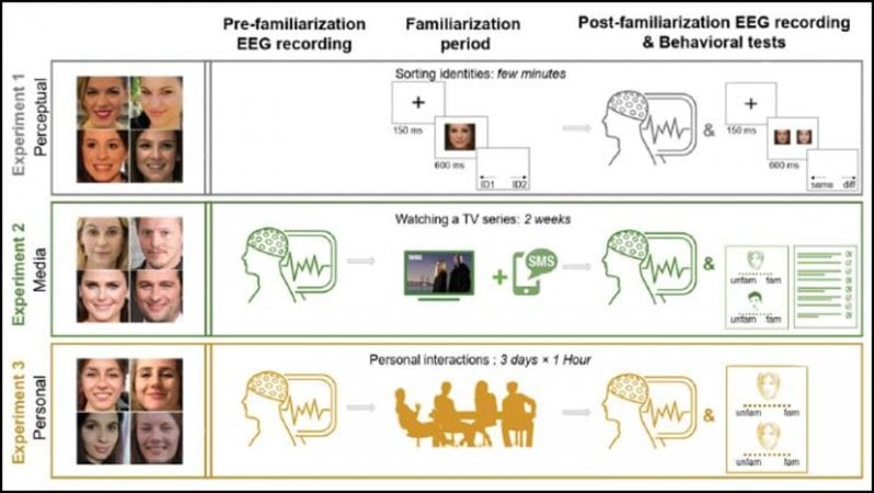 This is a diagram from the study