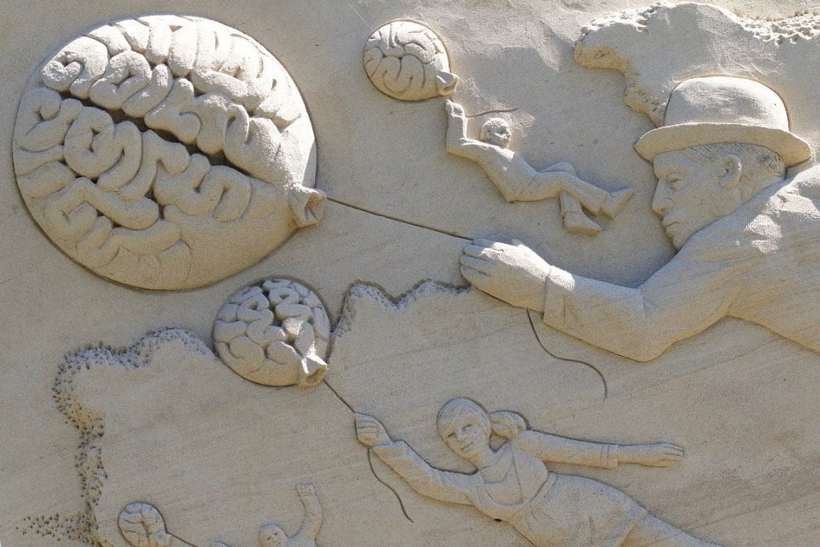 Stimulating Environments Boost the Brain; Now Scientists Have Found the Genes Responsible