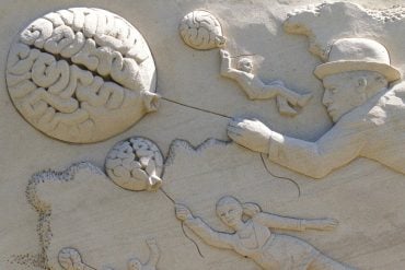 This shows a brain sculpted in sand