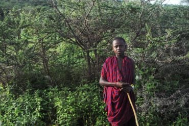This shows a young Masai boy