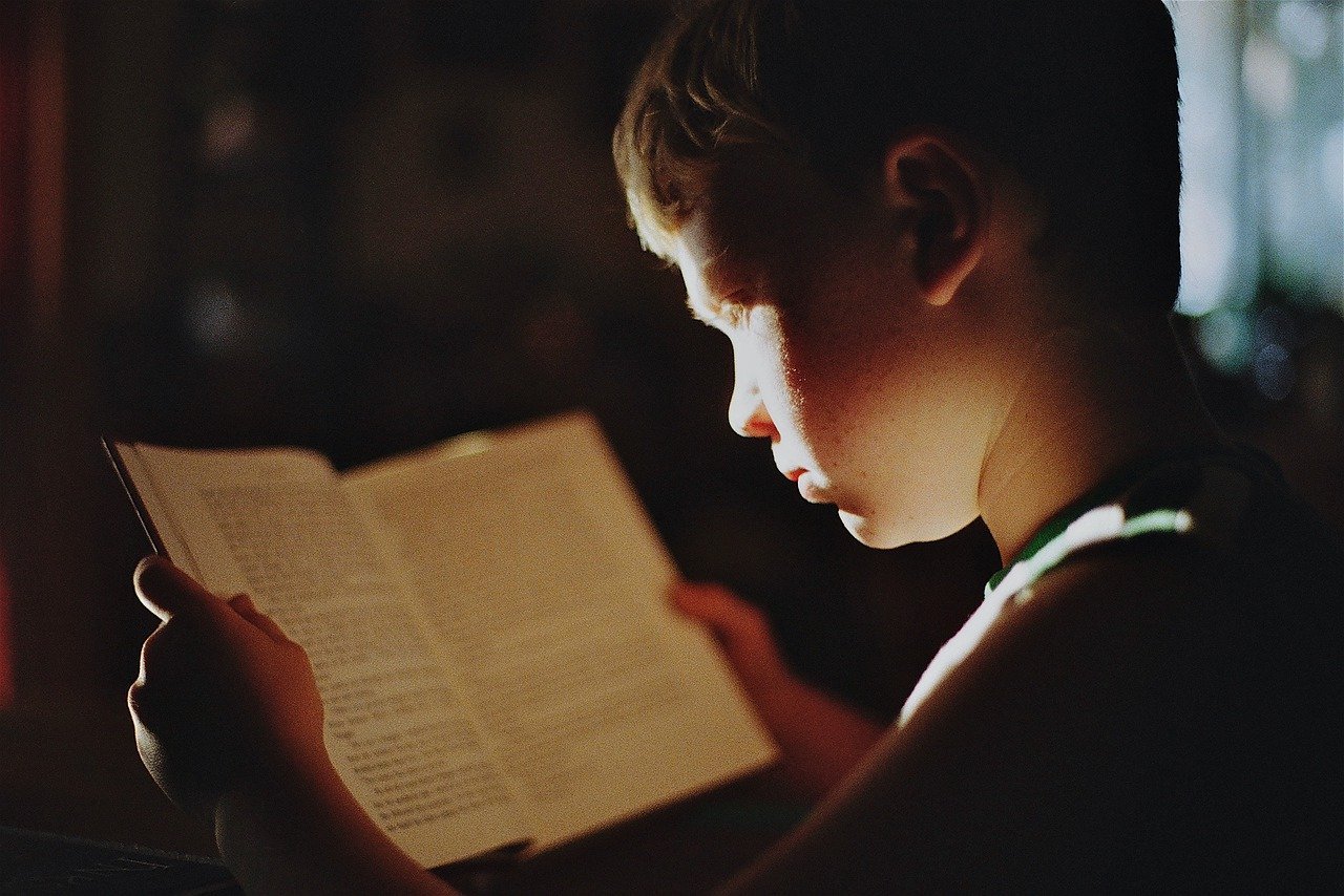 This shows a little boy reading a book