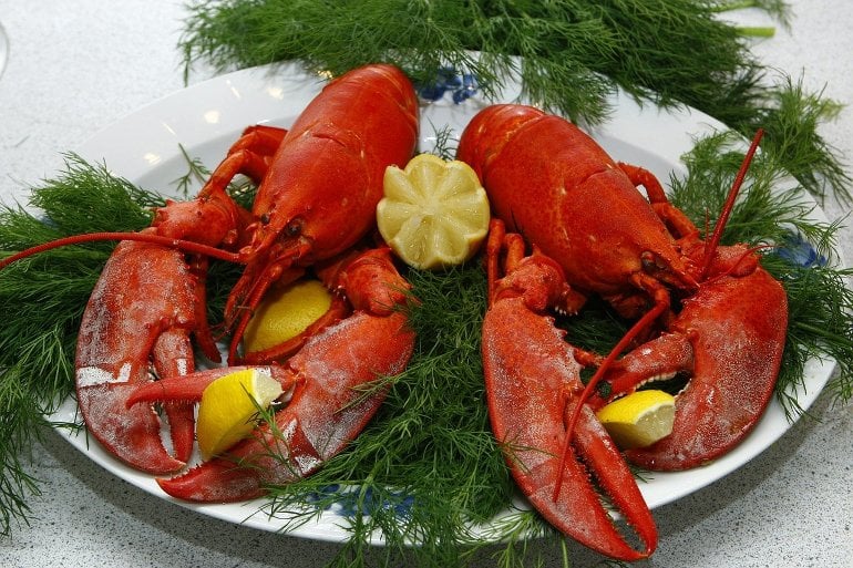 This shows two lobsters on a plate
