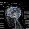 Esta é uma imagem do cérebro e uma explicação do que acontece quando as pessoas colaboram em peças musicais