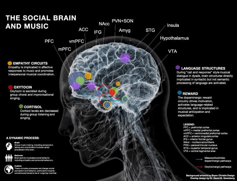 This is an image of the brain and an explanation of what happens when people collaborate on musical pieces