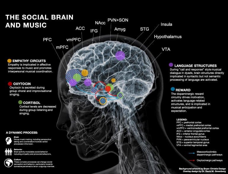 https://neurosciencenews.com/files/2021/06/music-brain-cooperation-neuroscines.jpg