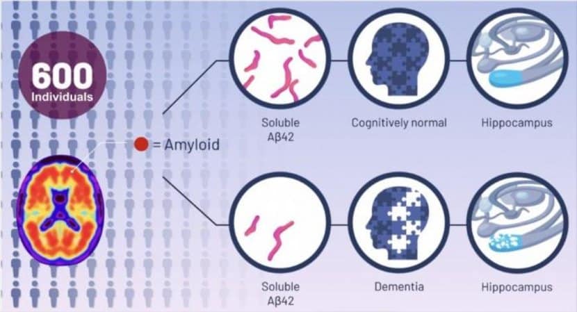 This is a diagram from the study