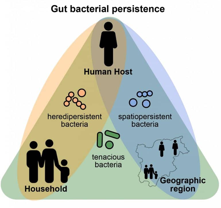 This is a diagram from the study