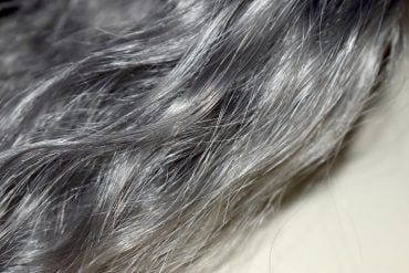 This shows a gray hair sample from a hairdresser's sample book