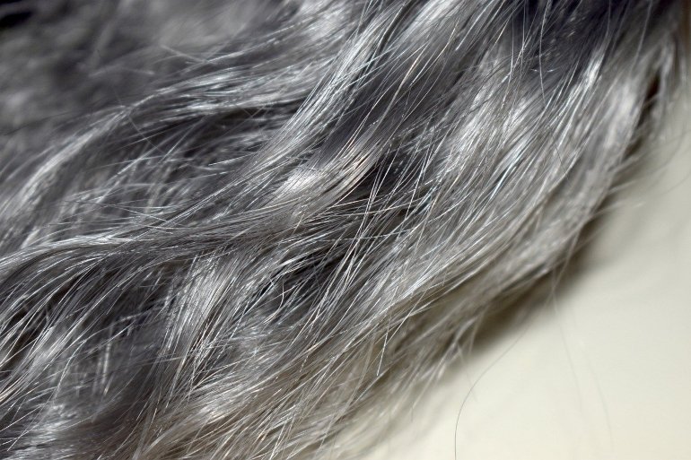 This shows a gray hair sample from a hairdresser's sample book