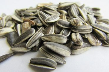 This shows sunflower seeds