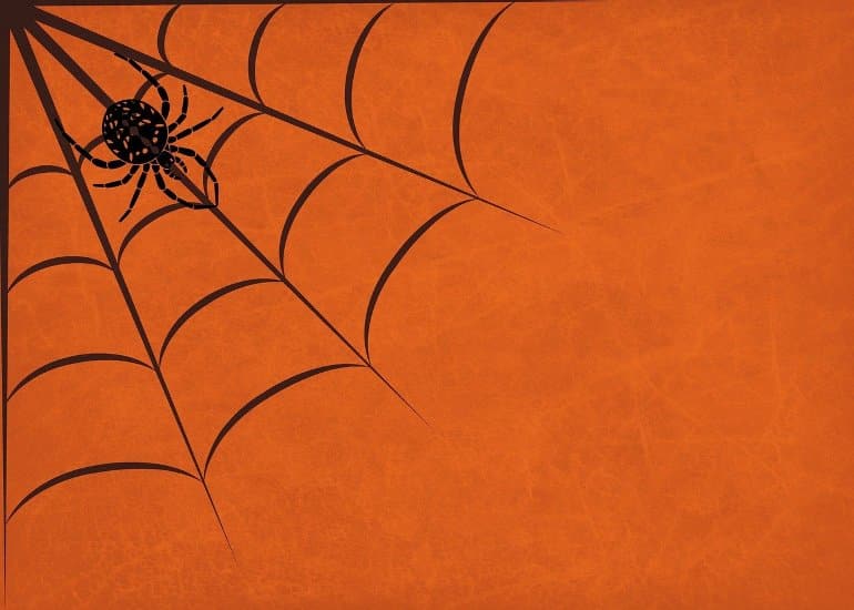 Could Spider Webs Teach Us About Complex Brain Systems?