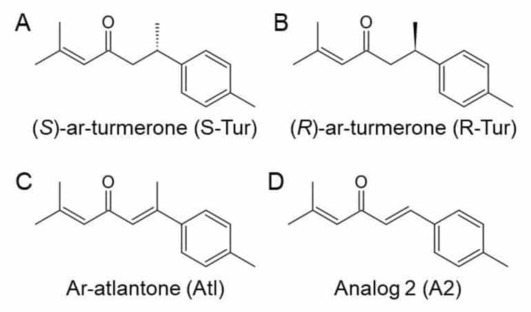 This shows the chemical structures of the four different molecules