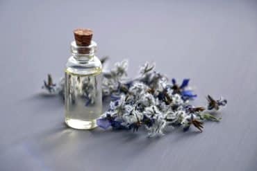 This shows a bottle of essential oil and lavender flowers