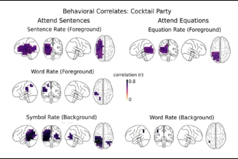 This is a diagram from the study