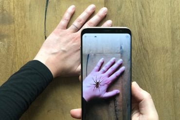 This shows a person's hand an a cellphone image with the hand and a spider on it