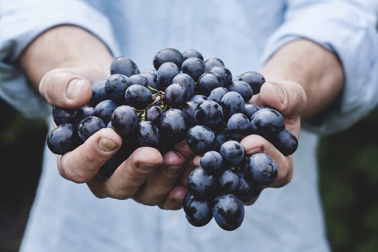 This shows a man holding out blueberries