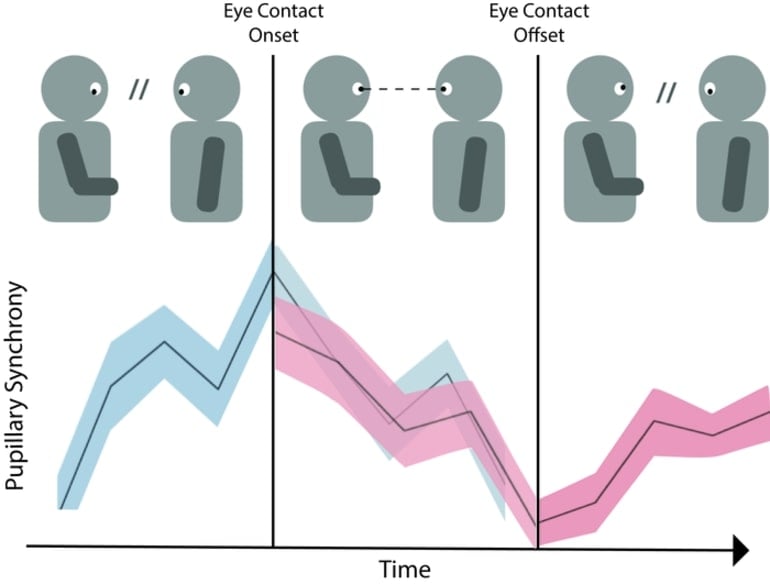 This is a diagram from the study