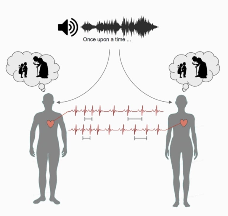 This is a diagram from the study