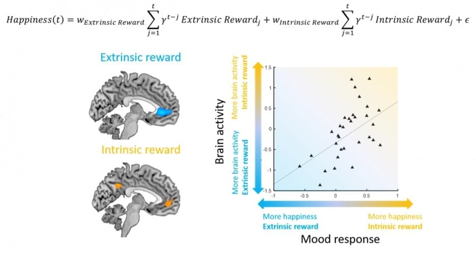 This is a diagram from the study