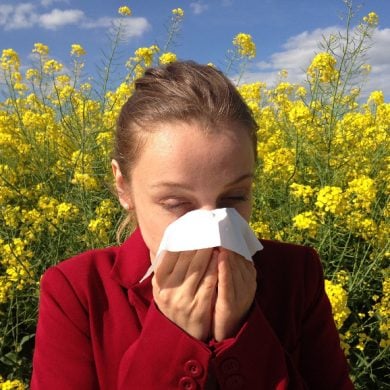This shows a woman sneezing into a tissue in a field of yellow flowers