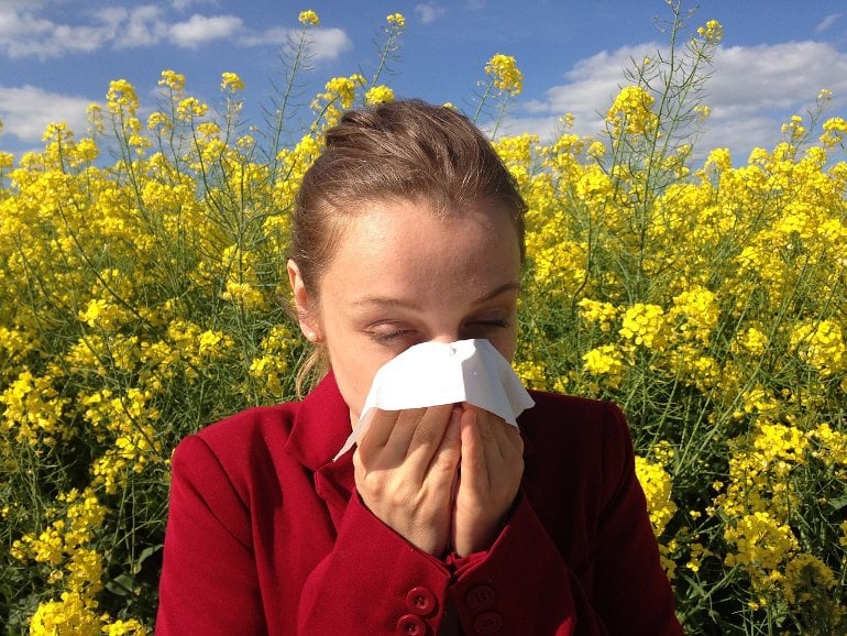 This shows a woman sneezing into a tissue in a field of yellow flowers