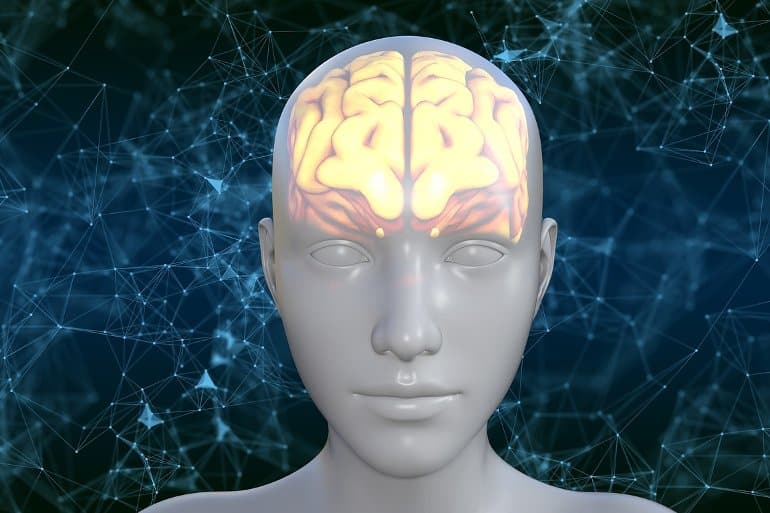 Humans still evolving as our brains shrink