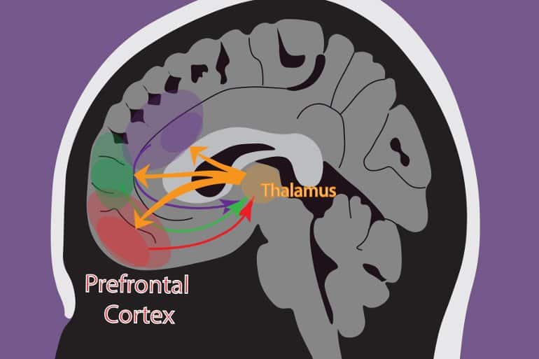 This is a diagram from the study