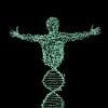 This is a drawing of a person made up of dna strands