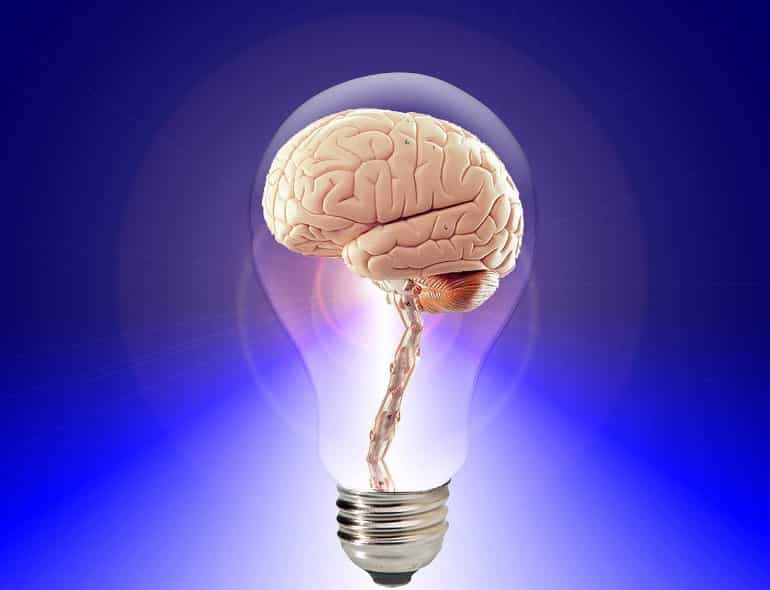 This shows a brain in a lighbulb