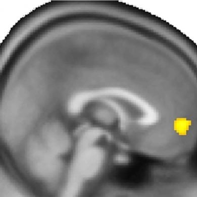 This shows a brain scan with the ventromedial prefrontal cortex highlighted